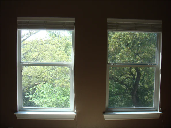 Two installed windows with solar screens, white frames, dark interior walls, green foliage visible outside